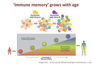 Immunity, infections and vaccines